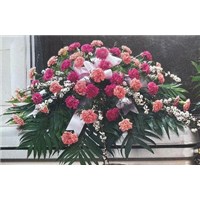 PINKHTPINKCASKETSPRAY